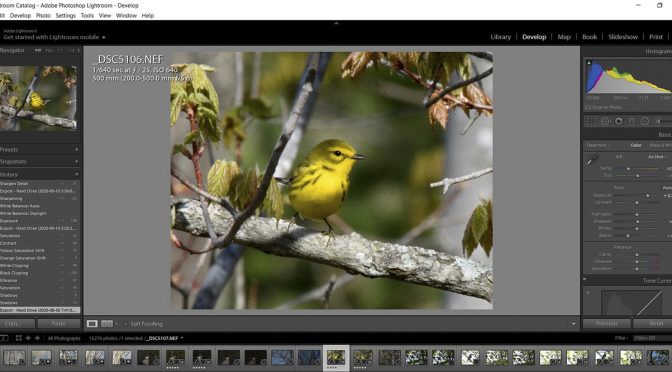 Post-Processing – Wildlife Photography Tips #5